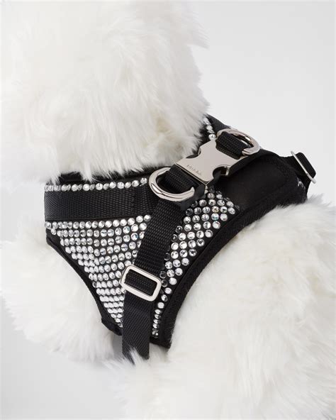 prada haustier|Prada luxury dog accessories.